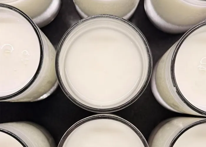 파크 인 바이 래디슨 시티 호텔 룩셈부르크